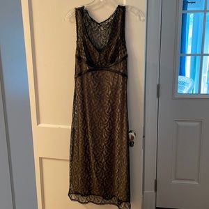 Express Black Lace Dress